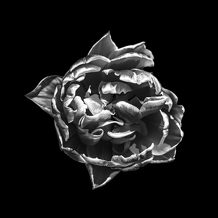L1010196-Edit