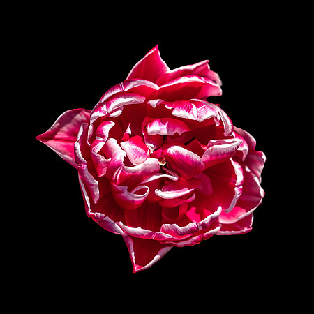 L1010196