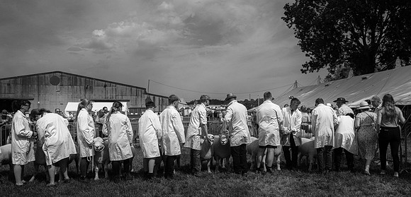 L1010659-Edit