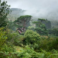 _L1A2321-Pano
