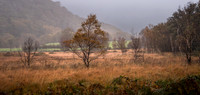 L1012135